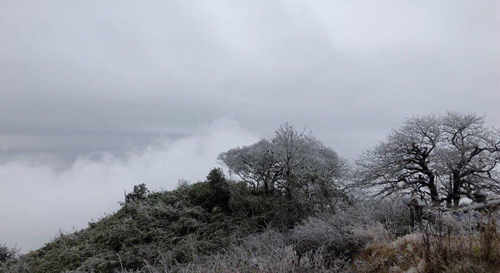 Băng phủ trắng đỉnh Phia Oắc ở Cao Bằng